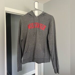 Jansport University of Wisconsin-Madison Drawstring Hoodie